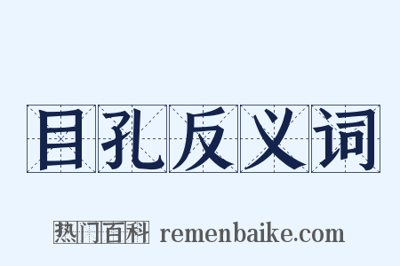 目孔反义词是什么意思的图片